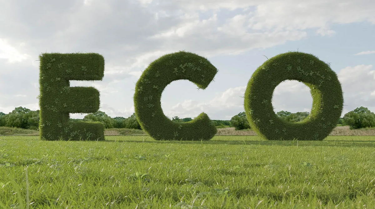 Eco-Friendly Period and Leak Protection